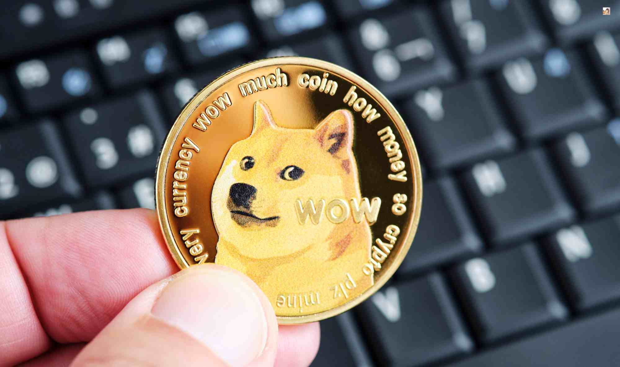 buy dogecoin