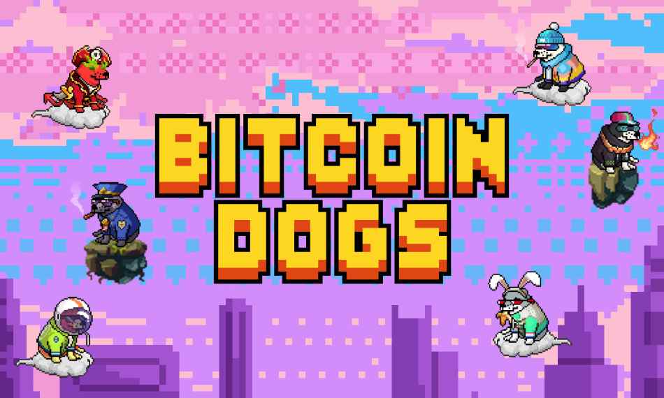 bitcoin dogs best meme tokens