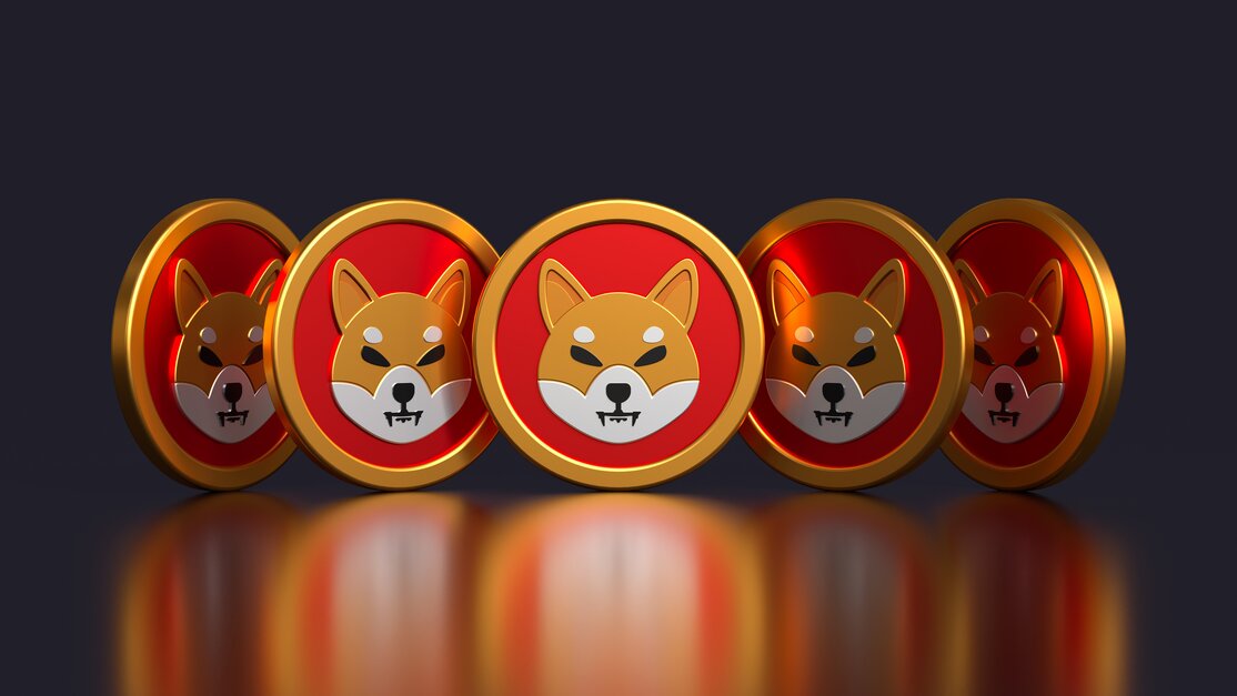 shiba inu best meme coins to buy