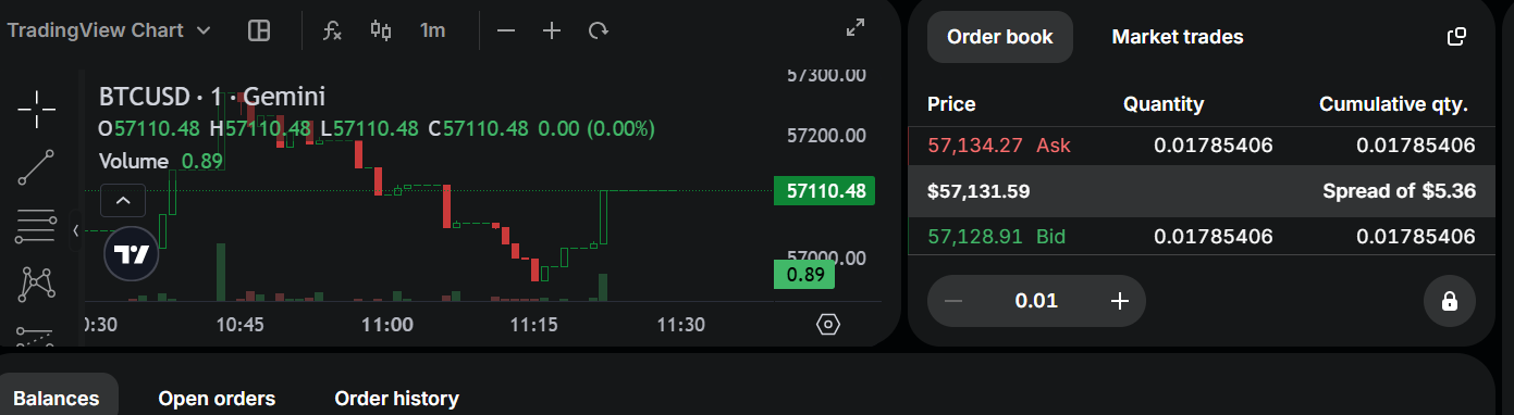 gemini active trader platform