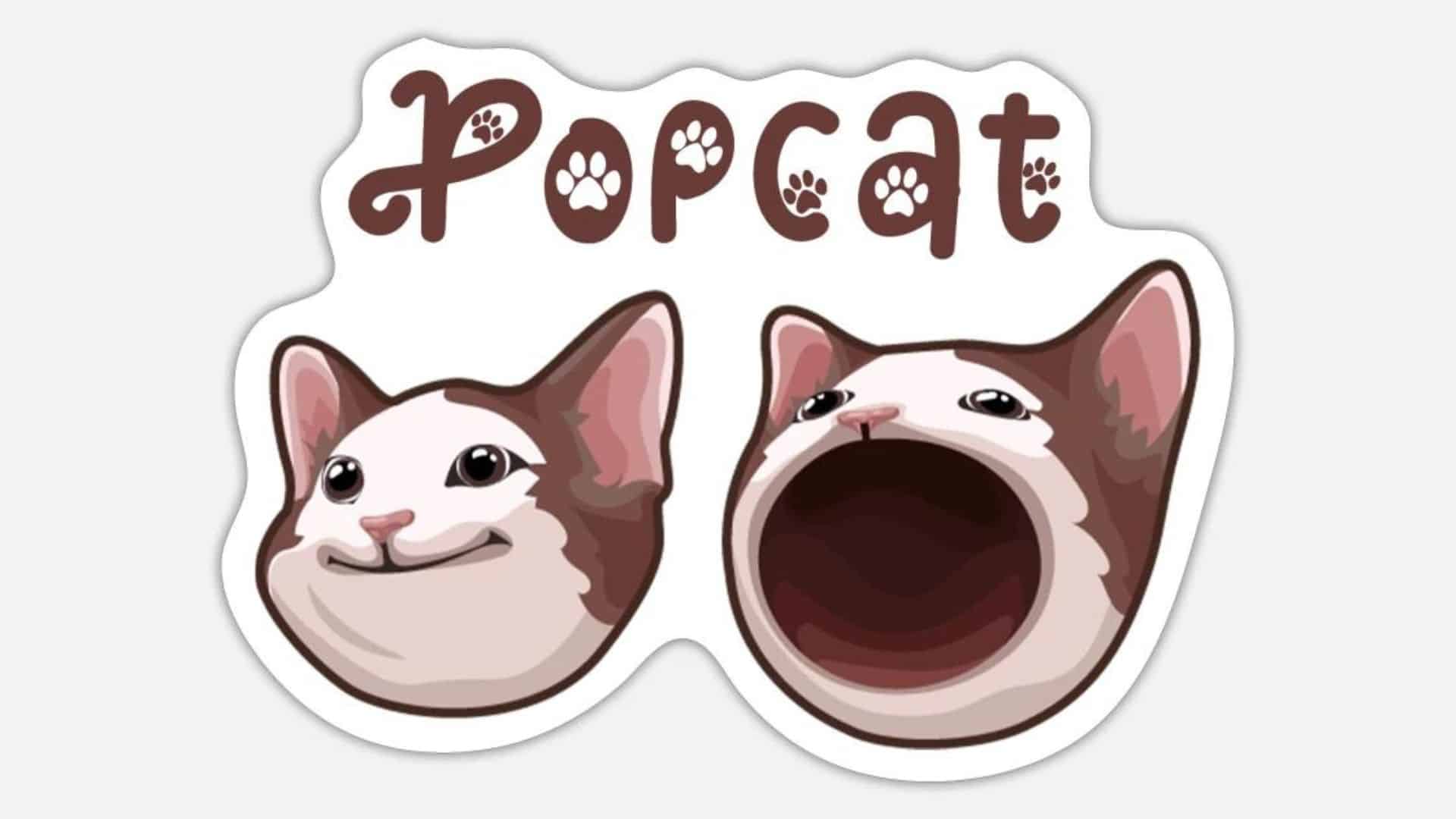 Here's why Popcat price may drop further