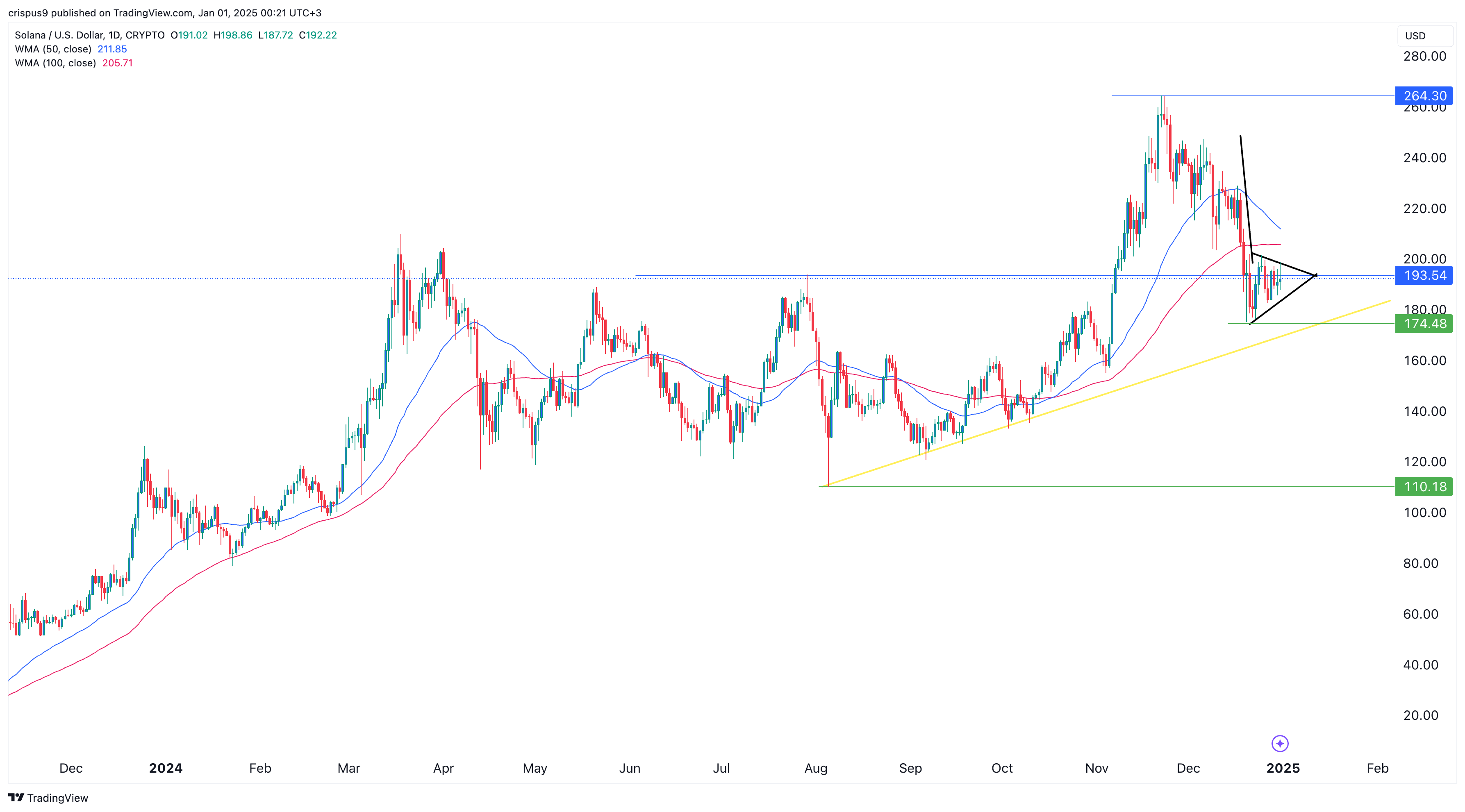 Solana Price Prediction Will the SOL Boom Continue in 2025